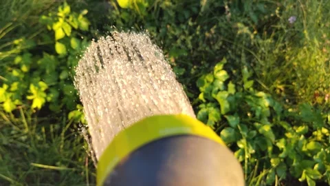 Watering garden view Stock Footage 246969868