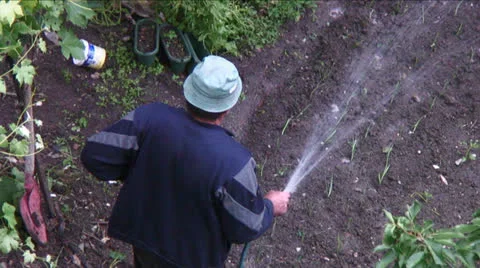 Watering gardens Stock Footage 25267792