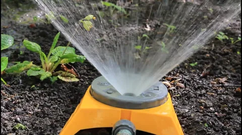 Watering gardens Stock Footage 31052396