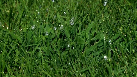 Watering Grass Close Up Super Slow Motion 2000fps Stock Footage 80624897