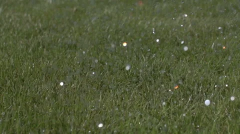 Watering grass closeup slow motion Stock Footage 41807839
