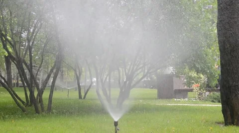Watering of grass Vídeos de archivo 5253620