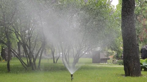 Watering of grass Vídeos de archivo 5253990