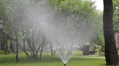 Watering of grass Vídeos de archivo 5254837
