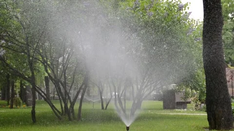 Watering of grass Vídeos de archivo 5255232