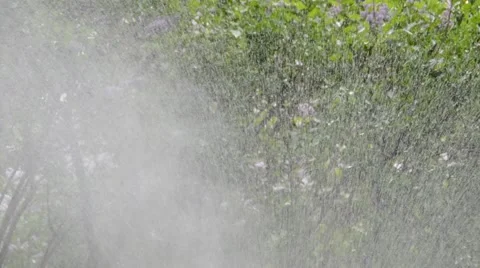 Watering of grass Vídeos de archivo 5256281