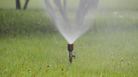 Watering of grass Vídeos de archivo 5260909