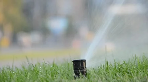 Watering of grass Vídeos de archivo 7745349