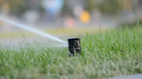 Watering of grass Vídeos de archivo 7745392