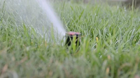 Watering of grass Vídeos de archivo 7745435