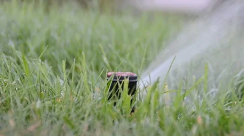 Watering of grass Vídeos de archivo 7745473