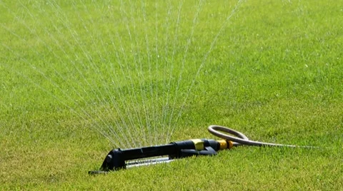 Watering of grass Vídeos de archivo 7758571