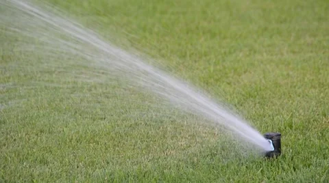 Watering of grass Vídeos de archivo 7758744