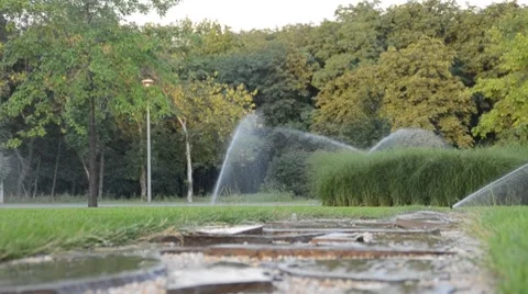 Watering of grass Vídeos de archivo 7759946
