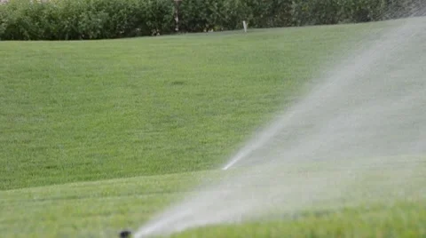 Watering of grass Vídeos de archivo 7759995