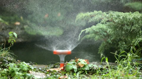 Watering grass Stock Footage 27877814