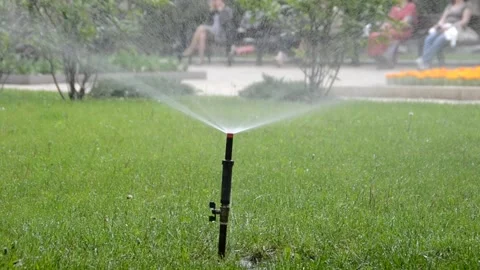 Watering of grass Vídeos de archivo 217468998