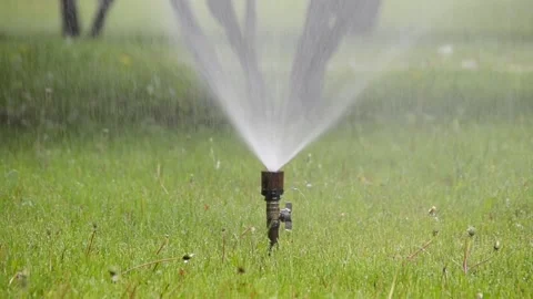 Watering of grass Vídeos de archivo 217469338