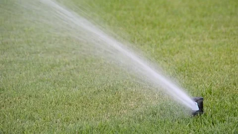 Watering of grass Vídeos de archivo 217541692