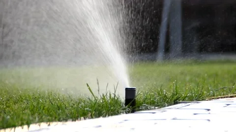 Watering of grass Vídeos de archivo 217542345