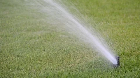 Watering of grass Vídeos de archivo 217542364