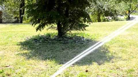 Watering of grass Vídeos de archivo 217542402