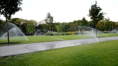 Watering of grass Vídeos de archivo 217542451