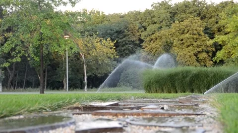 Watering of grass Vídeos de archivo 217542458