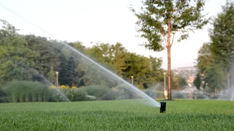 Watering of grass Vídeos de archivo 217542477