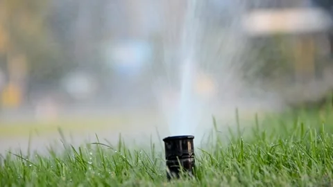 Watering of grass Vídeos de archivo 217542547
