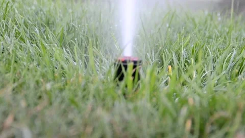 Watering of grass Vídeos de archivo 217542570