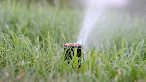 Watering of grass Vídeos de archivo 217542578