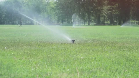 Watering the grass on a golf course Stock-Footage 52926949