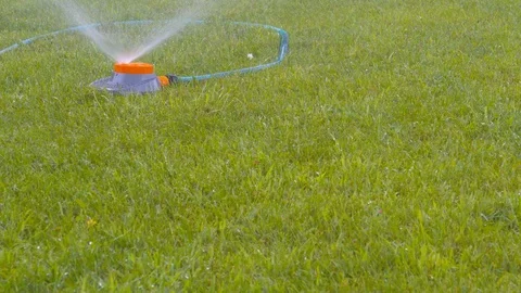Watering the grass lawn Stock-Footage 114117237