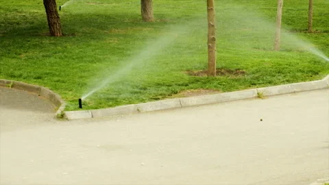Watering the grass in the park. Selective focus. Stock Footage 194931767
