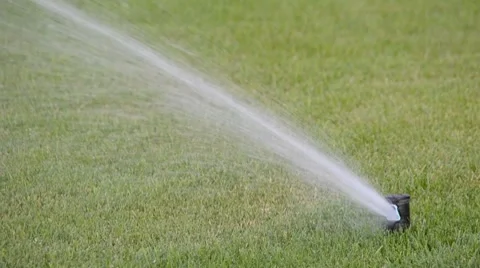 Watering of grass. slow motion. Vídeos de archivo 8524811