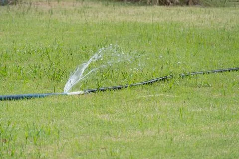 Watering grass using sprinkler system home garden nature outdoor close-up i.. Stock Photos
