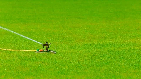 Watering the green grass. Video stock 114559184