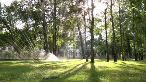 Watering green lawn Stock Footage 40492437