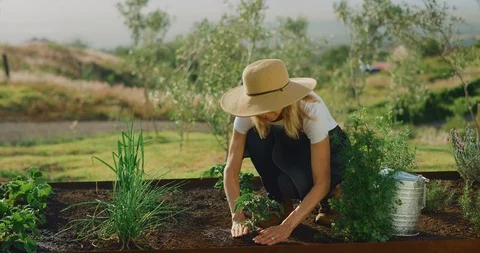 Watering her garden Stock Footage 107034132