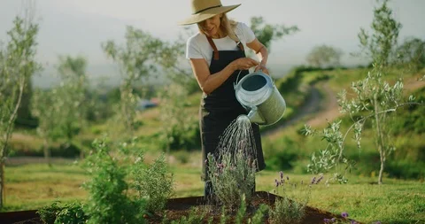 Watering her garden Stock Footage 107034645
