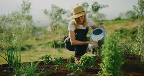 Watering her garden Stock Footage 107035834
