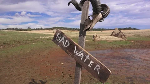Watering hole, Environment distruction Stock Footage 55143036