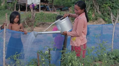 Watering Kitchen Garden Stock Footage 40071332