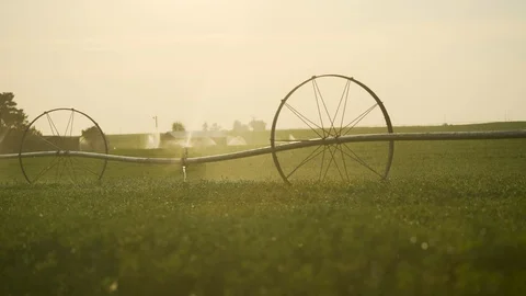 Watering large fields Video stock 121549729