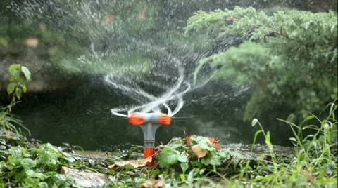 Watering the law Stock Footage 27832772