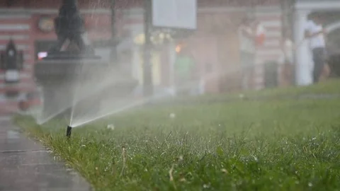 Watering the lawn in the city Video stock 80945831