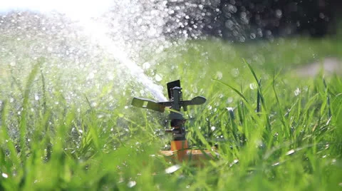 Watering the lawn grass. Stock Footage 27152732