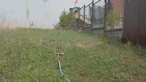 Watering the lawn with a hose Stock Footage 154595214