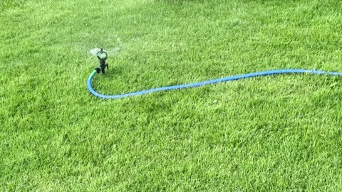 Watering lawn with sprinkler Stock Footage 339553579